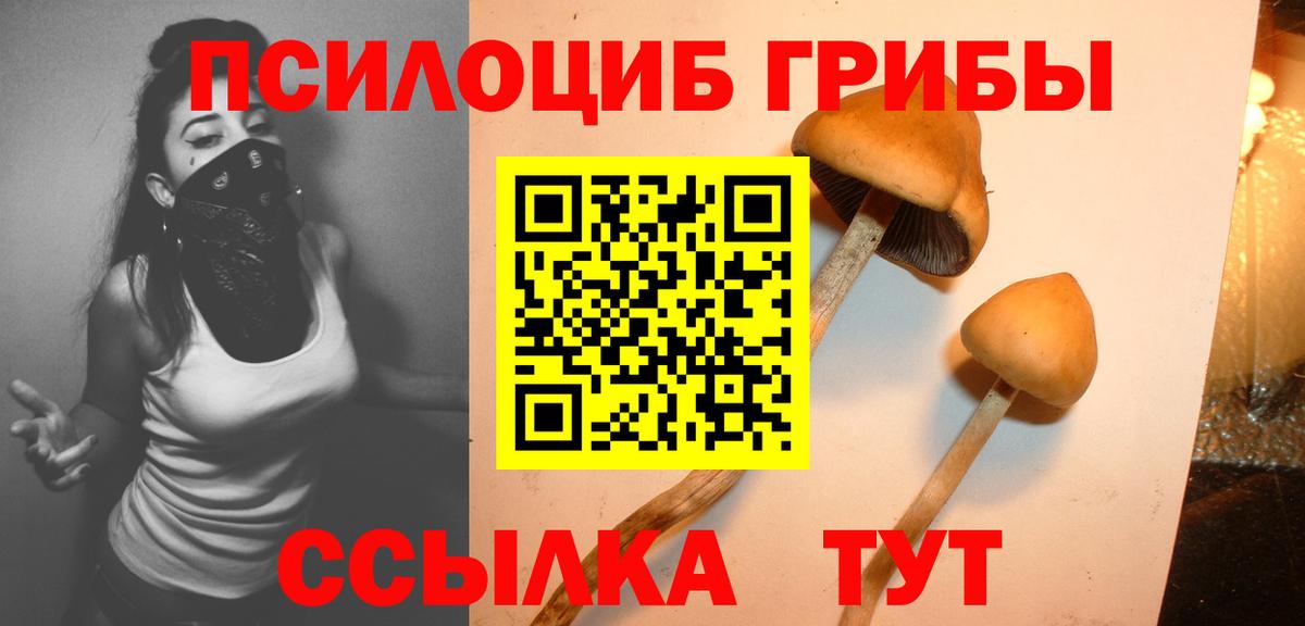 Кубинка  Псилоцибиновые грибы Cubensis  Псилоцибиновые грибы MAGIC MUSHROOMS  Вход с VPN 